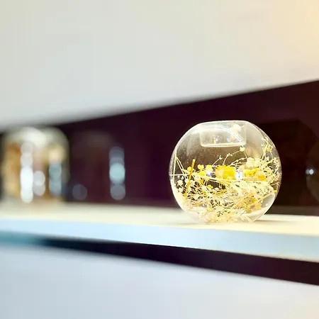 Chayka Chic Apartment